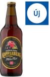 Kopparberg Mixed Fruit cider 4% 500 ml