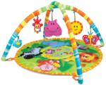 Winfun Covoras de joaca Winfun (Win000827)