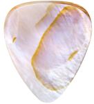 Timber Tones Shell Tones Mussel Shell