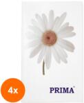 Prima Set 4 x Caiet Prima, 50 Pagini, Format A6 (TEV-4xVTR-0941)