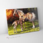 Makana Csikóval a réten - Számfestő készlet, kerettel (40x50 cm)