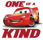  Disney Verdák Kind párnahuzat 40x40 cm Velúr (CBX231201CAR) - szukits