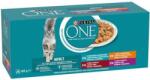 ONE Adult chicken/beef/lamb/ocean fish 120x85 g