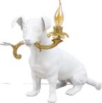Seletti Rio 14794