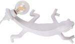 Seletti Chameleon Going Down 15091