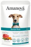  Amanova Dog GF Pouch Adult Iberian Pork P04 300 g - petlegio