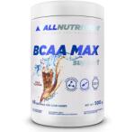 ALLNUTRITION Bcaa Max Support 500 g