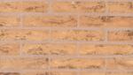SanMarco Caramida plina Terrae Padane Rosato 25x12x5.5 cm (SM-1883040226)