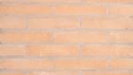 SanMarco Caramida plina Vivo Rosato 25x12x5.5 cm (SM-1883020223)
