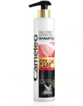 Delia Cosmetics Cameleo BB sampon cu keratina pentru par deteriorat 250 ml