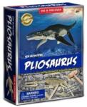 Sonne Trusă de cercetare Sonne - Dezgropați un schelet de Ichthyosaurus (SONNE1261)