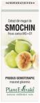 PlantExtrakt Extract din muguri de Smochin 50 ml