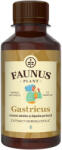 Faunus Plant Tinctura Gastricus 200 ml