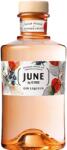 Gin de France June by G’Vine Wild Peach & Sommer Fruits ginlikőr 0, 7l 30%
