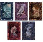 Herlitz Füzet A/5 kockás HERLITZ 60 lapos Fairy Tail Story, vegyes, szín nem választható