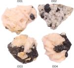  Sfalerit pe Dolomit Natural Brut - Piatra Echilibrului si Puterii Interioare - 39-58 x 28-40 x 15-32 mm - ( XXL ) - 1 Buc - concepttropic - 14,00 RON