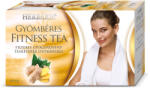 Herbária gyömbéres fitness tea 20x2 g (0010008155)