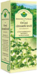 Herbária filterezett orvosi citromfű levél tea 25x1 g (6470000523)