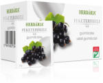 Herbária filteres gyümölcstea 20x2 g (Feketeribizli) (10000050)