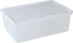 Plast Team IRIS Basic Shoebox 9, 5 literes tárolódoboz tetővel 19820800 (TEA000173) (TEA000173)