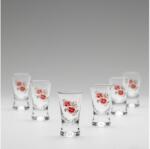 Výrobce po 1 ks Készlet 6x Felespohár átlátszó csokor motívummal no. 2 (KK01082A)