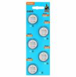 Vinnic CR2430-C5 3V Vinnic lítium gombelem