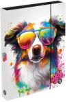 KARTON P+P Füzetbox A4 Jumbo Kutya (1-46825)