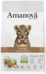  AmaNova Cat LG Kitten Exquisite Chicken & Quinoa 300g