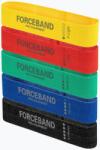FORCEBAND Set de benzi din material pentru exerciții FORCEBAND Mini Band 5 buc. + E-BOOK multicolor