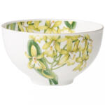 Villeroy & Boch Signature Amazonia müzlis-leveses tálka 7, 1 dl 13 cm (1035141906)