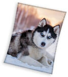  Kutyás Husky coral fleece polár takaró 150x200cm (CBX231093KNL) - oliviashop