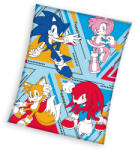 Sonic a sündisznó Speedstorm coral fleece polár takaró 130x170cm (CBX235006SON)