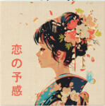 Figured Art Mini set pictura pe numere, cu sasiu, Iubirea in stil japonez, 20x20 cm (SFA310-Y)