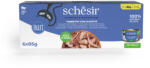 Schesir 6x85g Schesir Complete Nutrition Filet tonhal & fehér hal aszpikban nedves macskatáp