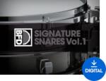 BFD Signature Snares VOL. 1 (Produs digital)