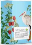 Herbária Greens of Daisy amestec de ceaiuri din plante pentru susținerea fertilității și a sănătății femeilor - vrac (50g)