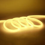 Factory Rezistent la apă Bandă LED 12V Alb Cald Lumină 5m Neon Flex cu Sursă de alimentare 101428 (101428)