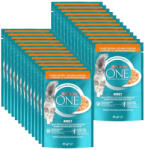 ONE Adult chicken 26x85 g