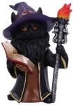 Nemesis Now Статуетка Nemesis Now Adult: Gothic - Albus (U7007A25)