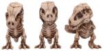 Nemesis Now Set statuete Nemesis Now Adult: Humor - Three Wise T-Rex (Skeletons) (B6974A25) Figurina