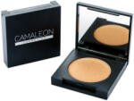 Camaleon Highlighter bronz (2, 5g)