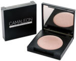 Camaleon Highlighter pink (2, 5g)