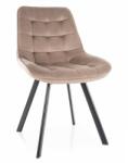 SIGNAL MEBLE Albons Velvet étkezőszék, bézs
