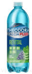 Theodora Calcia Revital 0, 7l PET DRS - delfinbuvar