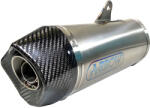 Arrow Exhaust Tobă finală ARROW Race-Tech pentru BMW S 1000 R 2017-2020, Titan
