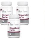 VetExpert Hepatiale Forte Large Breed 3x40 tablete