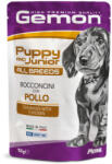 Gemon Puppy & Junior chicken 100 g