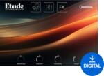 Steinberg Etude (Digitális termék)