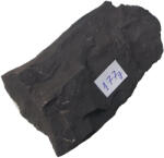 Shungite Piatra mare vindecatoare Shungite 170g-179g, ecranare impotriva radiatiilor si protectie electromagnetica (PMSh170G)