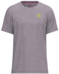 BIDI BADU Beach Spirit Crew Two Colored Tee Grey férfi póló